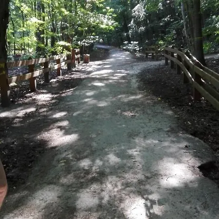 Ul.powstania Wielkopolskiego 18 Gdynia