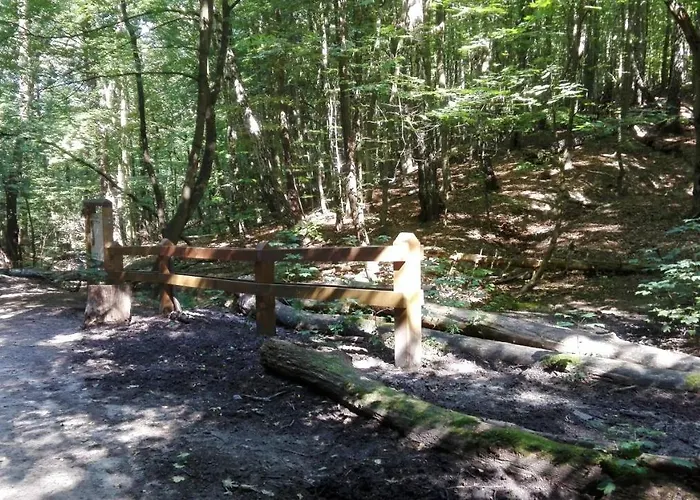 Ul.powstania Wielkopolskiego 18 דירה