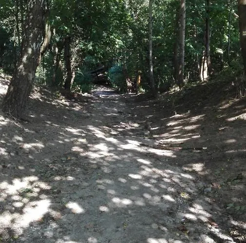 Ul.powstania Wielkopolskiego 18 דירה גדינייה